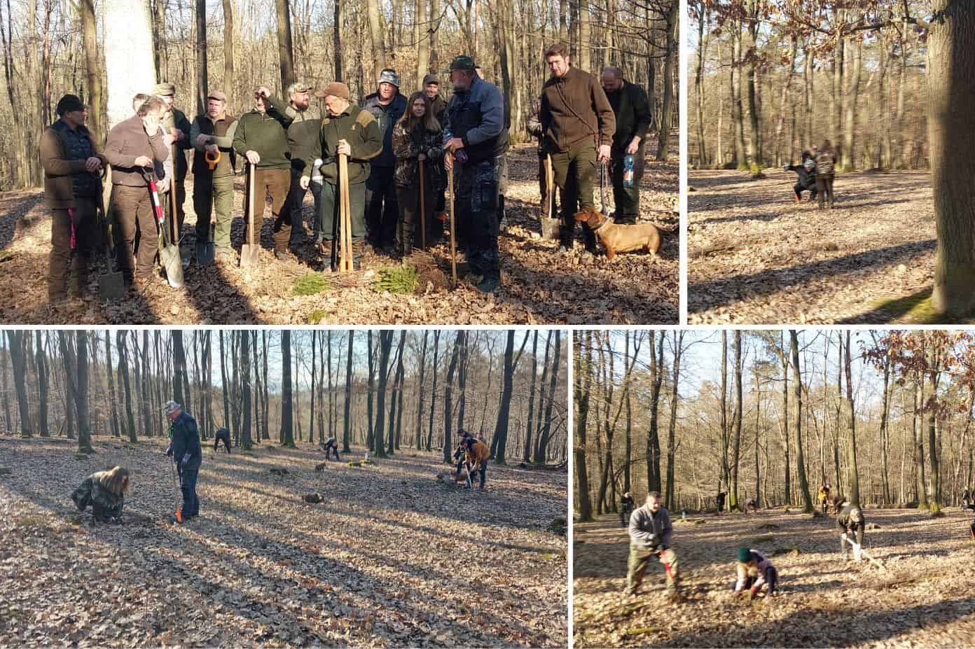 Výsadba Stromov pre život